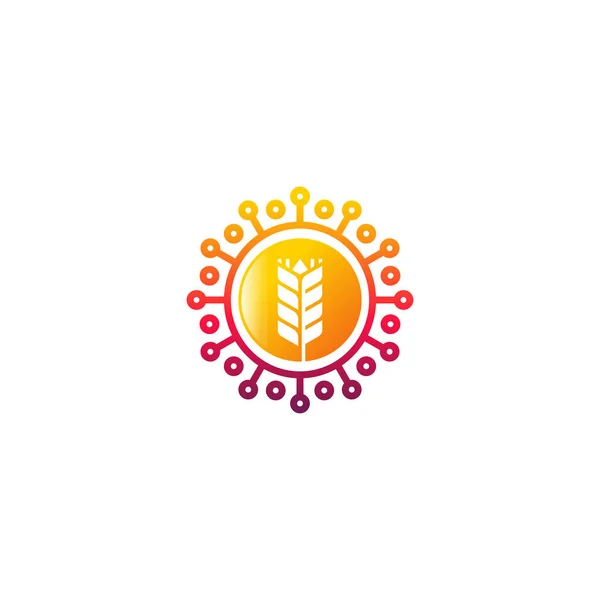 Diseño Del Logotipo Wheat Tech Vector Conceptual Plantilla Logotipo Agriculture — Vector de stock