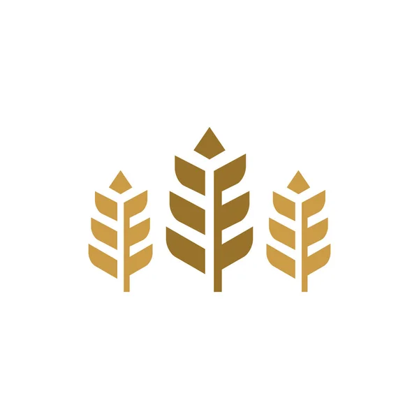 Luxusní Koncepce Loga Obilí Zemědělská Pšenice Logo Vektorová Ikona Šablony — Stockový vektor