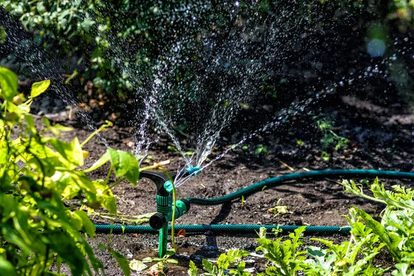 정원에서 작품에 정원에서 관개를 Sprayspray — 스톡 사진
