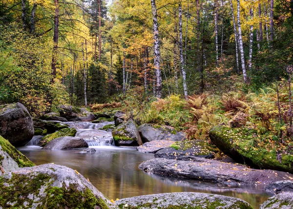 Mountain River Belokurikha Stones Autumn Forest Altai Krai Russia — Stock Photo, Image