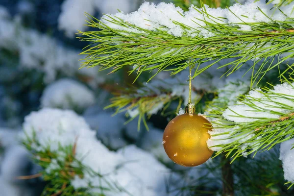 Bonitos Brinquedos Natal Pendurados Ramo Pinho Coberto Neve Livre — Fotografia de Stock