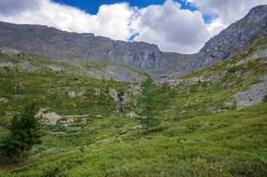 Yeşil ağaçları ile Altai mountains ve mavi gökyüzü bulutlu yaz peyzaj