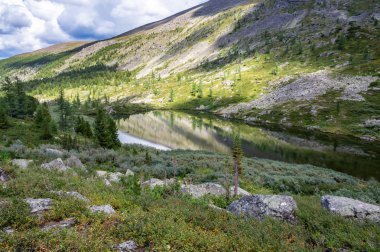 Altai dağlarının güzel yaz manzarası göle bakıyor.