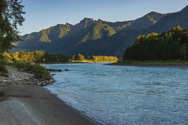 Altai 'deki Katun nehri yeşilliklerle kaplı dağların arasından akar.