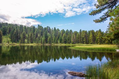 Altai dağlarının güzel yaz manzarası göle bakıyor.