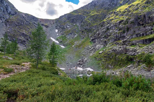 Schöne Sommerlandschaft Altai Mit Blick Auf Den See — Stockfoto