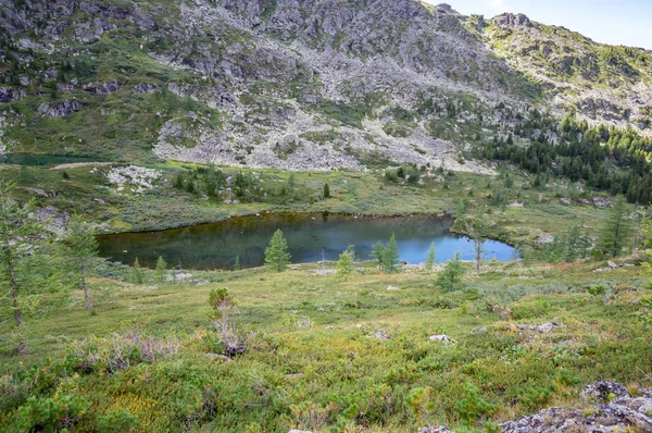 Bela Paisagem Verão Nas Montanhas Altai Com Vista Para Lago — Fotografia de Stock