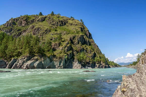 Rio Katun Altai Flui Entre Montanhas Cobertas Com Vegetação — Fotografia de Stock