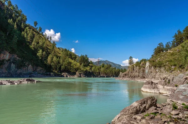 Rio Katun Altai Flui Entre Montanhas Cobertas Com Vegetação — Fotografia de Stock