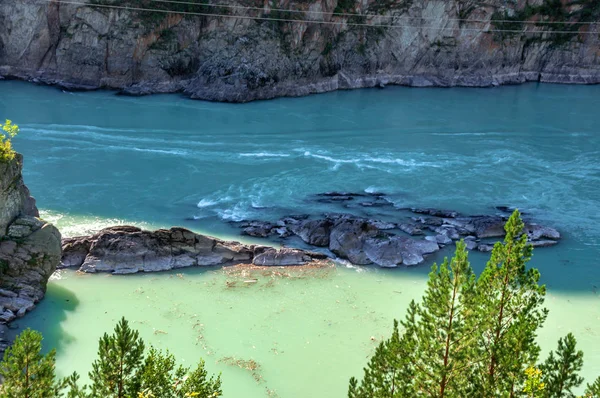 Rio Katun Altai Flui Entre Montanhas Cobertas Com Vegetação — Fotografia de Stock