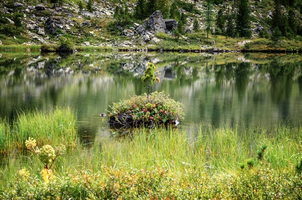 Lago Montaña Con Reflejo Árboles Verano —  Fotos de Stock