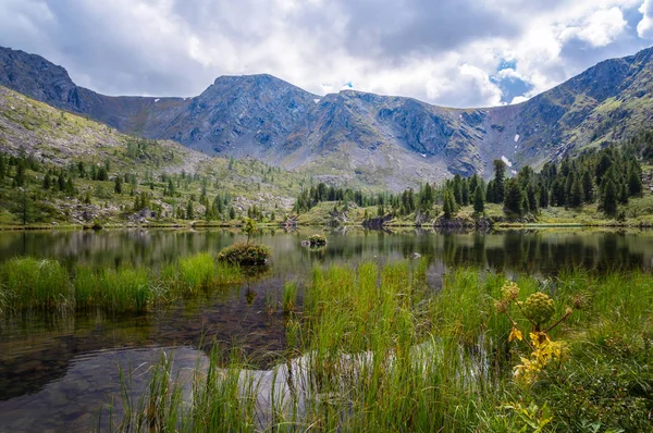 Beautiful Summer Landscape Altai Mountains Overlooking Lake — Stock Photo, Image