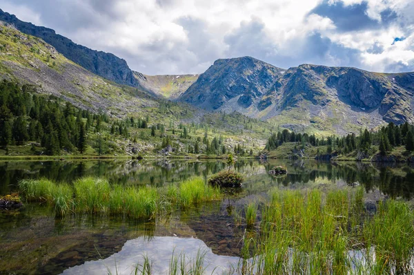 Piękny Letni Krajobraz Górach Altai Widokiem Jezioro — Zdjęcie stockowe