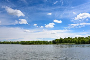Nehirden ormanlık kıyıya bak. Yaz gününde bulutlarla mavi gökyüzü