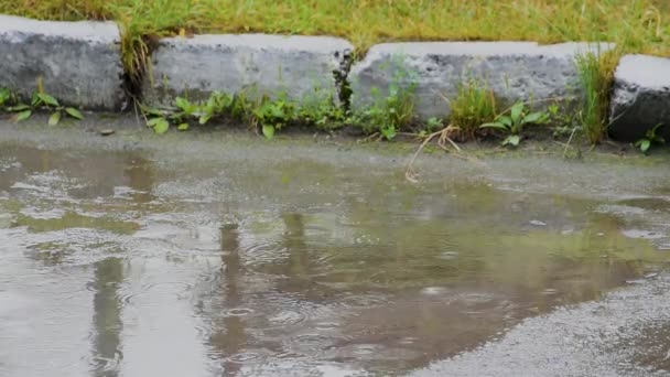 雨滴が歩道の水たまりに滴り込み 円と泡を作り出す — ストック動画