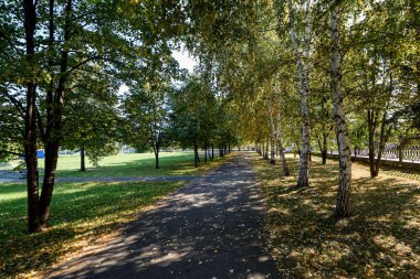 sokaklar ve zemin üzerinde ağaçlar ve düşmüş yaprakları ile şehir sonbahar Park