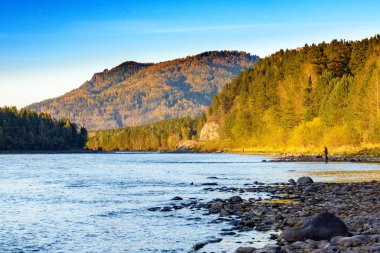 Tepelerin arkasındaki dağ nehri ormanla kaplı, sonbaharda, güneşli bir günde.
