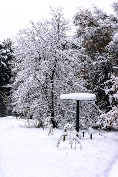Cidade Coberta Neve Parque Com Caminhos Neve Entre Árvores — Fotografia de Stock