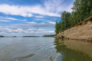 Ob nehri kıyısındaki dik banka, Altai Krai, Rusya. Bir yaz gününde manzara