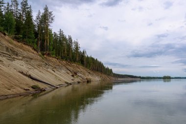 Ob nehri kıyısındaki dik banka, Altai Krai, Rusya. Bir yaz gününde manzara