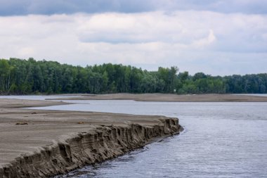 Kadın doğum nehrindeki kumlu banka, Altai Krai, Rusya. Güneşli bir yaz gününde manzara