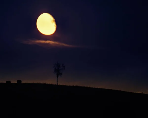 Noaptea Unui Peisaj Lunar Luna Cerul Negru Silueta Unui Copac — Fotografie, imagine de stoc