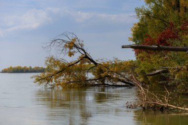 Nehirdeki manzara, bulutlu mavi gökyüzü, sonbahar ormanı kıyısı