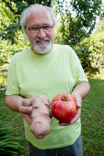 Happy elderly man with potato and tomato in his backyard