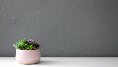 Pembe parlak tencerede modern tesisleri