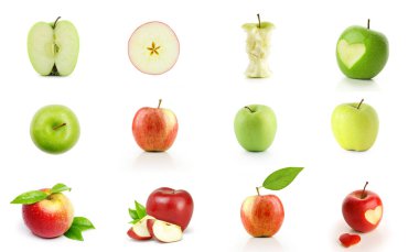 Different apples  clipart