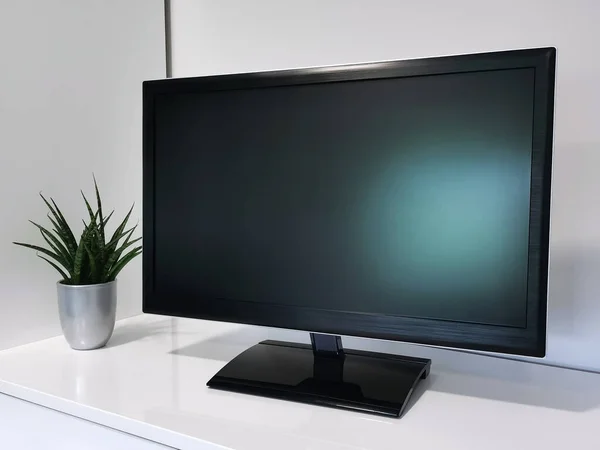 Old computer monitor on white office table with green succulent