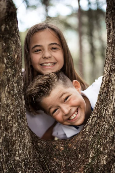 Hermano Hermana Con Divertidas Sonrisas Posando Tronco Del Árbol —  Fotos de Stock