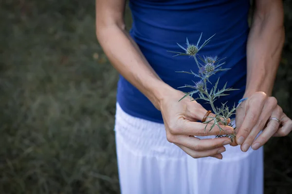 Close Female Hands Gently Holding Wild Fragile Flower — Stock Photo, Image