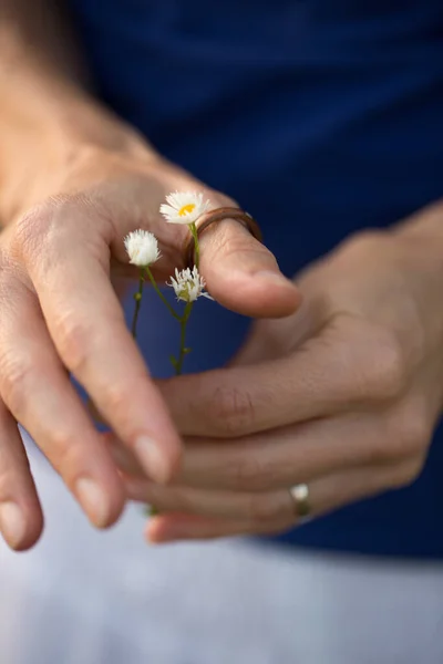 Blisko Żeńskich Rąk Delikatnie Trzymając Dziki Kruchy Kwiat — Zdjęcie stockowe