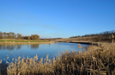 Küçük bir tepede nehrin viraj. Bozkır nehrinin genişliği, ağaçların sudaki yansıması, kuru sazlıkların ön planda