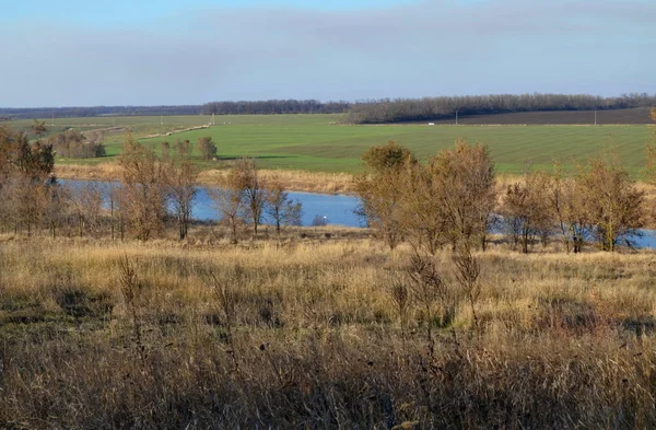 Farben Der Herbstlichen Steppe — Stockfoto