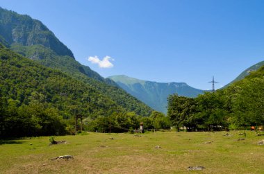 Mavi bulutsuz gökyüzünün altındaki dağlardaki bir vadide alp çayırı. Ormanlarla kaplı dağlar. Ufuktaki dağlar