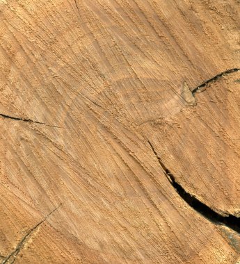 Arka plan testere dişleri izleri ile kesilmiş ahşap gördüm