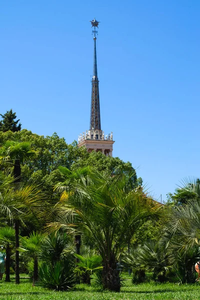 A Spire a tengeri állomás zöldövezetben. Függőleges keret, bal oldali nézet — Stock Fotó