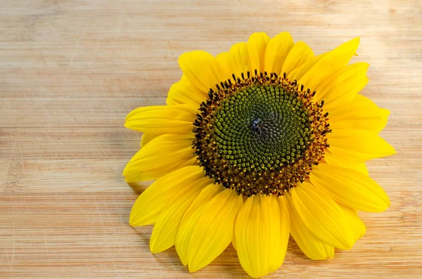 Sunflower flower on a wooden surface. Close-up