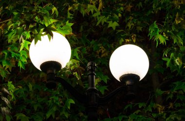 Yeşil yapraklı bir arka planda sokak lambası