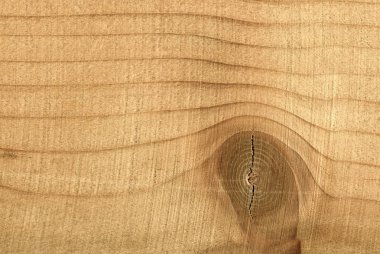 Ahşap yüzey. Doku girdap yakın