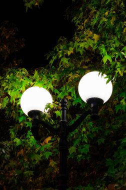 Yeşil yeşillik bir arka plan üzerinde Sokak lambası, dikey