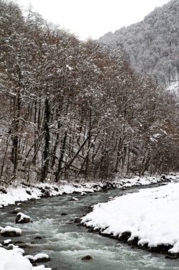 Vadideki dağ nehri. Karla kaplı kıyılar