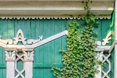 Boyalı yeşil tahtalardan yapılmış eski yeşil bir cephe. Evin üzerine ahşap oyma. Ivy duvarda. Yakın plan.