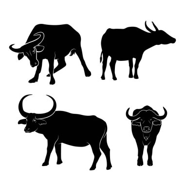 Buffalo. Manda izole vektör Illustration. Dört adet