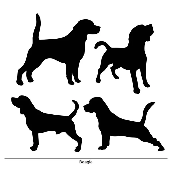 Beagle Les Chiens Sont Une Posture Chiots Drôles — Image vectorielle