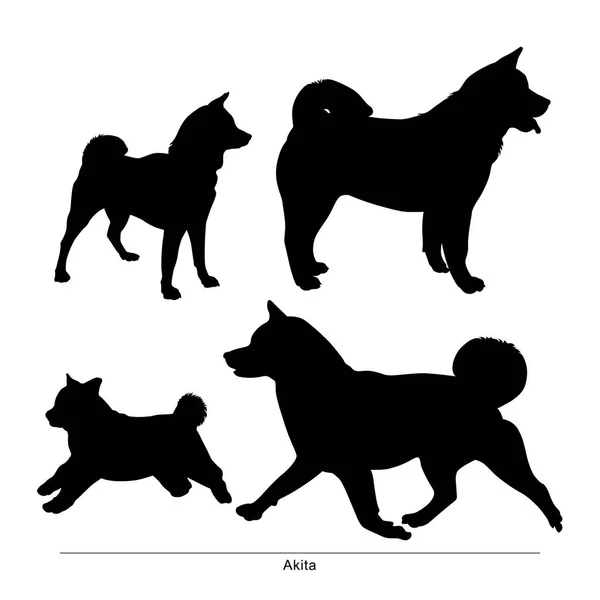 Cão Grande Pequeno Akita —  Vetores de Stock
