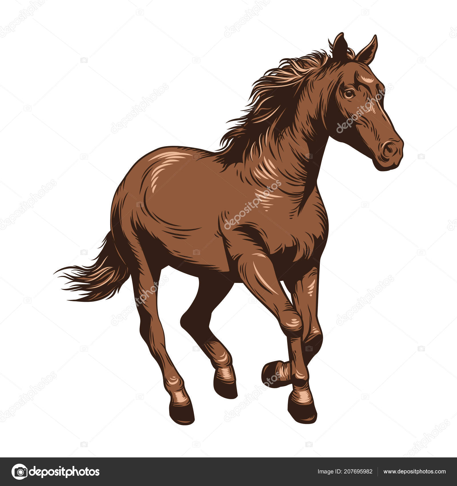 Horse Vector Illustration Horse Racing Drawing Stock Vector Image by