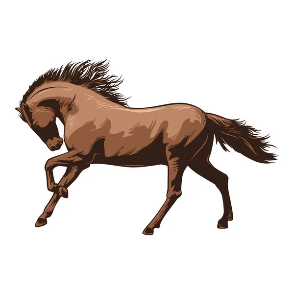 Brown horse, brown, steed, animal png